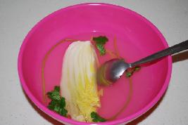 ɽկ���_ˮ�ײ˵�����