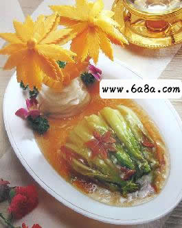 ���Ȱǰײ˵�����