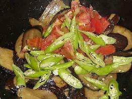 �½������ӵ�����