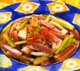 �������ӵ�����