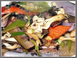 �������|����������