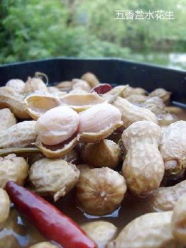 �����}ˮ����������