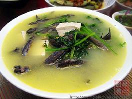 �����~��˶�����������