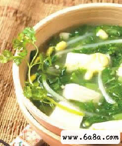 �{�˶�����������