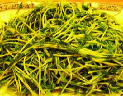 ���Զ��������