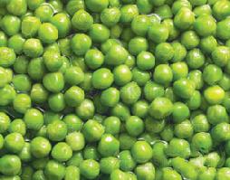 �[���㶹������