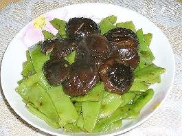 �㹽�F�ⶹ������