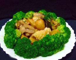 ���B�w��������