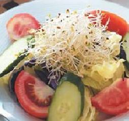 ʲ�\�߲�ɳ������֭������