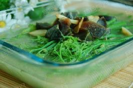 �Ϝ��Ϲ��������