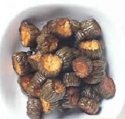 ���ƴ�ϵ�����