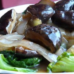 �����ǽ�˵�����