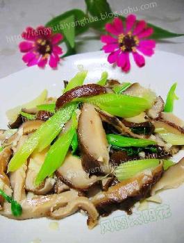 �����㹽���۵�����