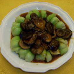 �����ǲ�đ������