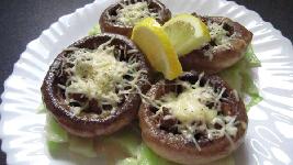 ֥��Ģ����������