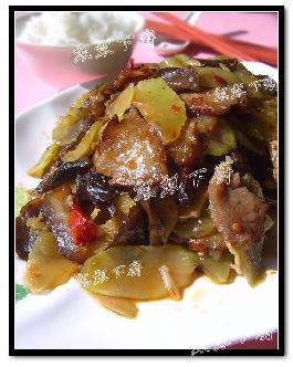 �����S�D�������