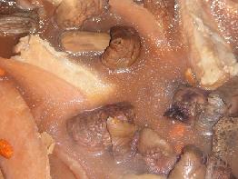 �ŹǼt����������