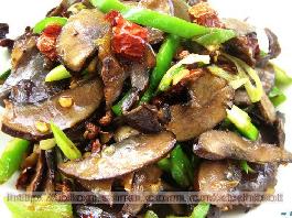 ��Ѭ��Ƭ������