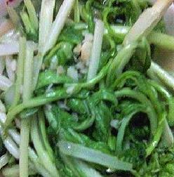 ���^����ĵ�����