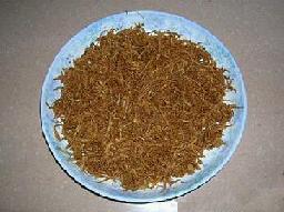 �����u���ɵ�����