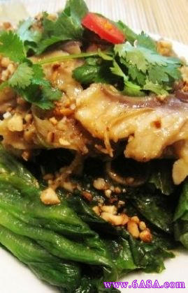 �����~Ƭ�Z���˵�����