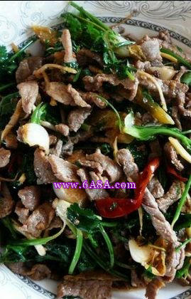 Ұɽ����ţ�������