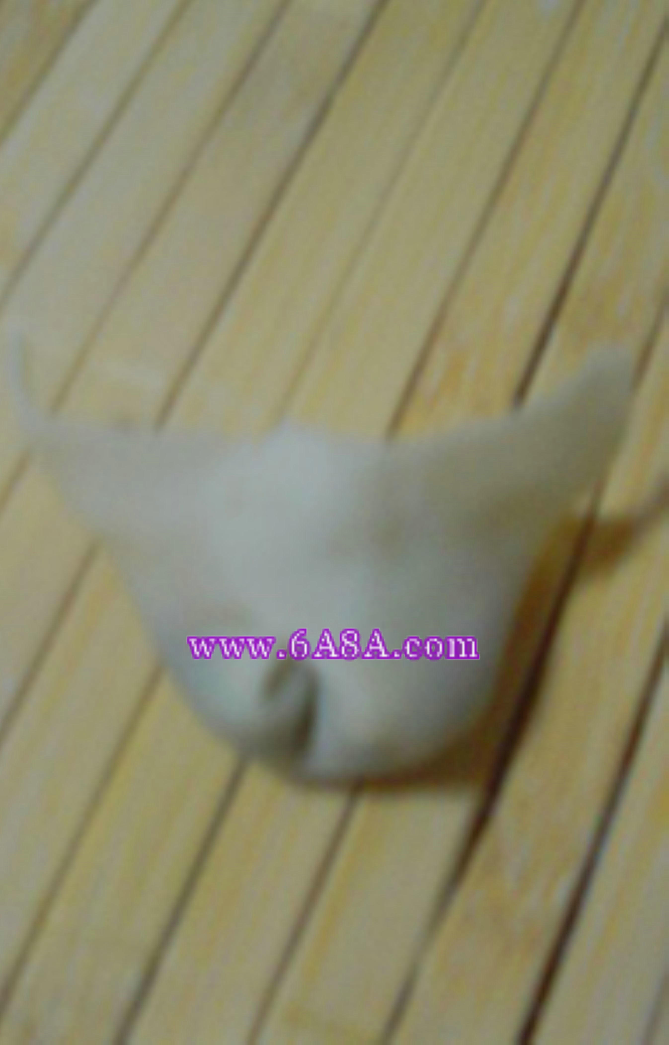 ���r�Q��W������