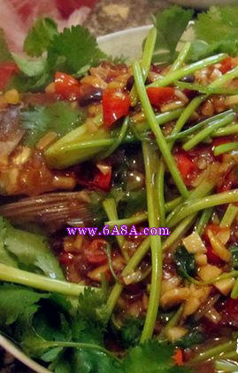 �t�������~������