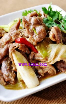 �[�����������