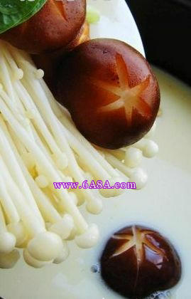 ���{��偵�����