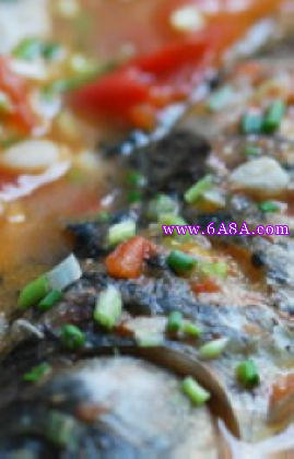 ���t���a�~��������