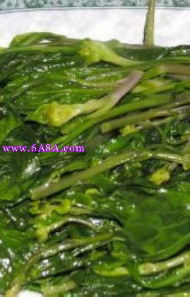 �����{������