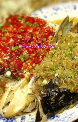 �p�����~�^������