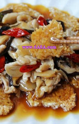 偰���Ƭ������