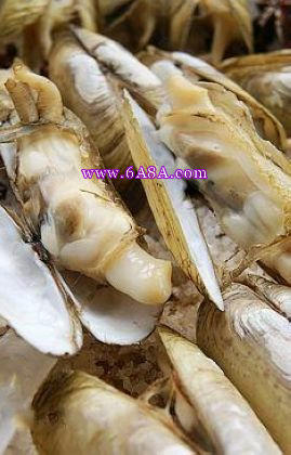 �}�h�|�ӵ�����