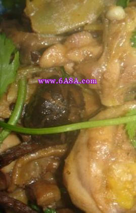 �p���u�ȵ�����