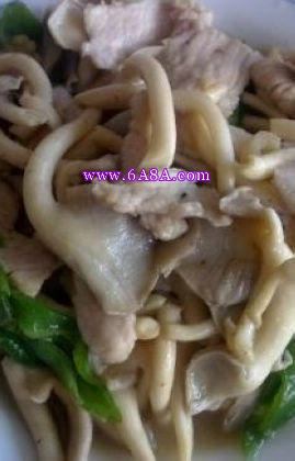 ���乽����Ƭ������