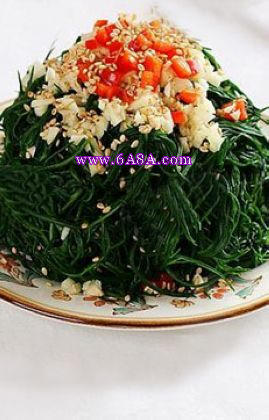 �����S횲˵�����