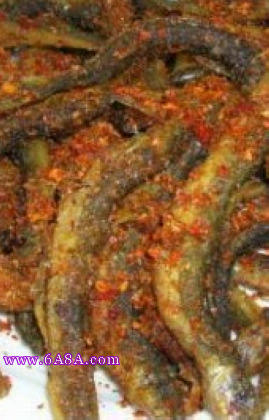 �����������q������