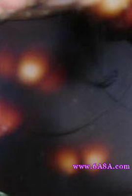 �Ǵ��������