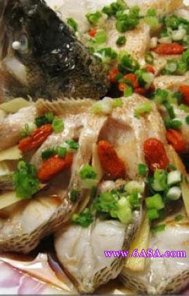 ��ȸ�_�����|�~������