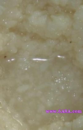 �׾Ƶ�����