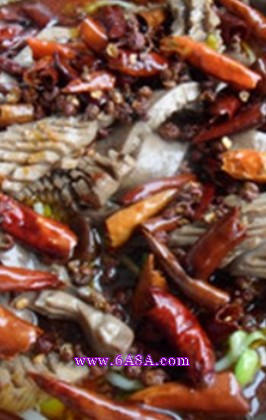 ���v����������