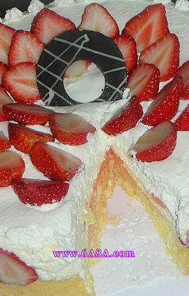 ��ݮâ��Ľ˹���������