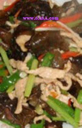 ľ����z������