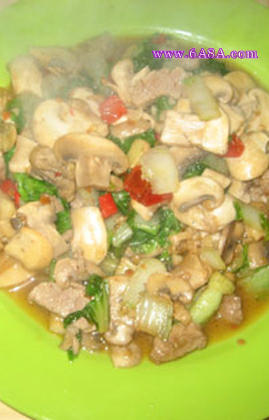 Ģ������˵�����