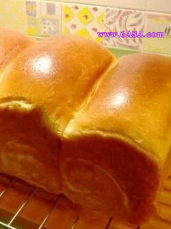 �㿾��˾������