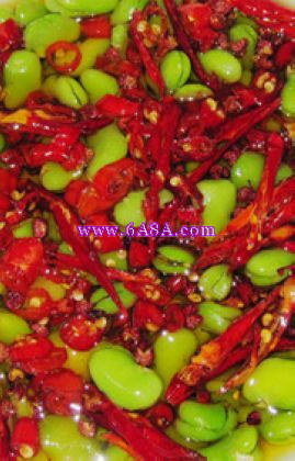 �����Q��������