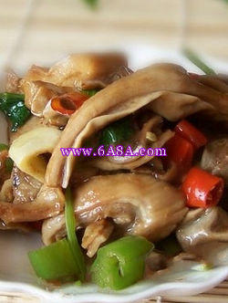 �����i�ǵ�����