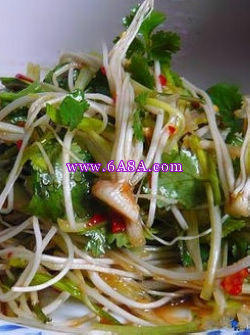 �Ͱ����������